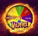 Wildfire Wins