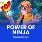 Power of Ninja
